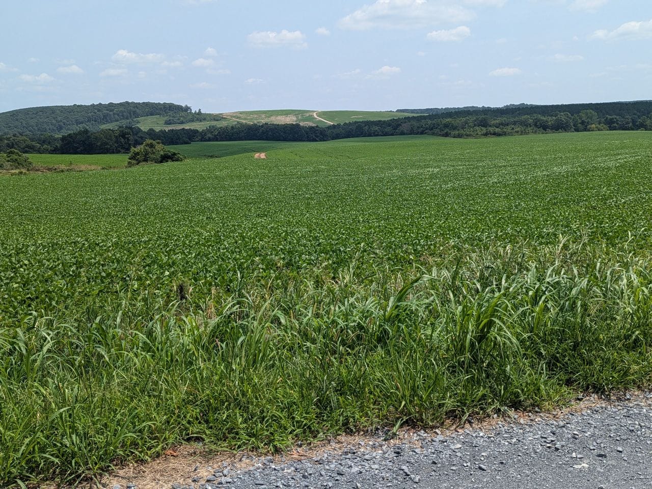 Quiet Ride in the Country